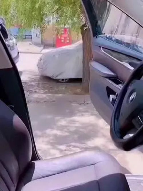 車里備上汽車遮陽傘，夏日行車不再燙屁股的實用好物